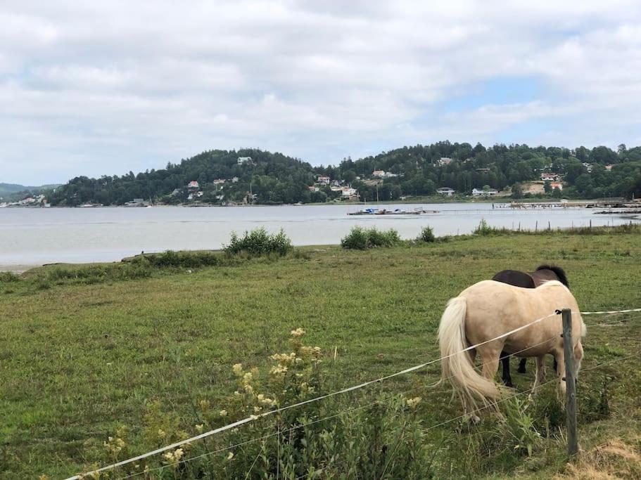 Apartment Right Next To The Golf Course And With The Ocean Just Around The Corner Ljungskile Extérieur photo